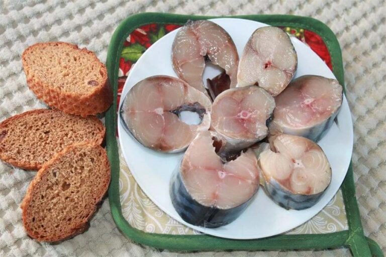 Як засолити скумбрію